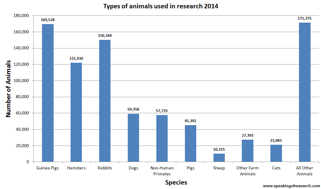 Types of Animals used in research and testing 2014