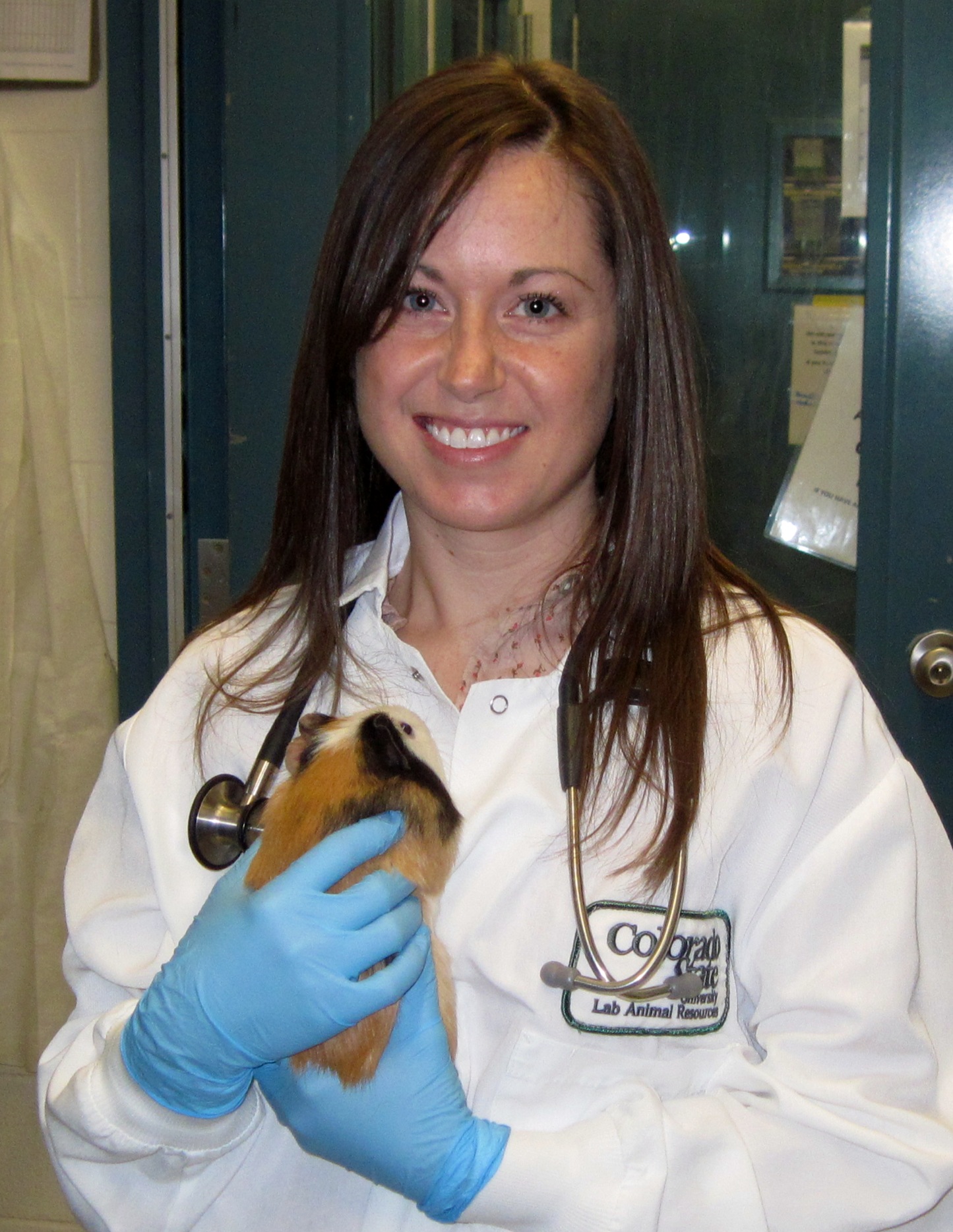 Why I am a Laboratory Animal Veterinarian” – Speaking of Research