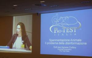 Dr Agnese Collino addresses the problem of disinformation in the animal research debate. Image from Pro-Test Italia