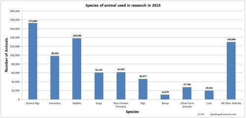 Animal welfare research paper